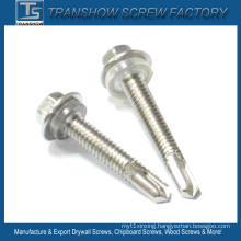 Hex Flange Head Drilling Screw with Transparent Washer